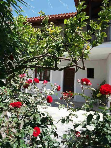 Athina Apartments アルガッシ エクステリア 写真